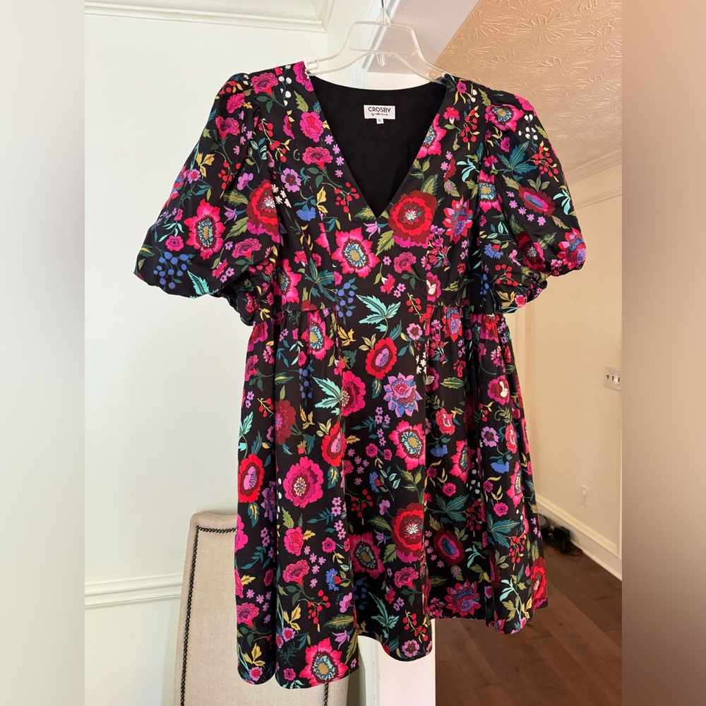 Crosby by Mollie Burch Dress